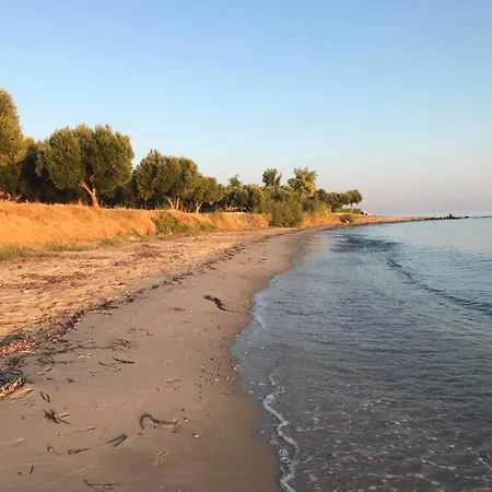 Ellea Nea Skioni